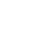 Mouse cursor (pointer or selection)